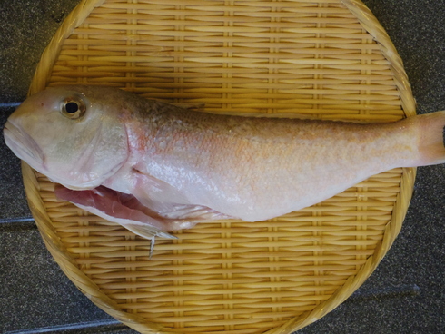 そっくりさんで甘鯛酒蒸し カシタニだより In香港