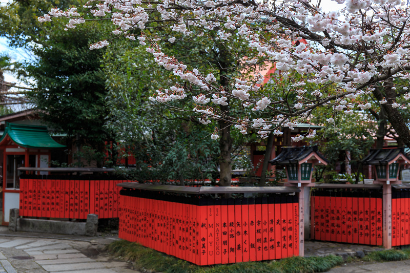 春爛漫（車折神社）_f0155048_23412066.jpg