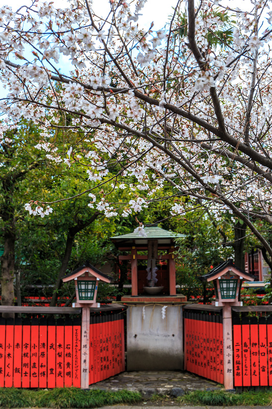 春爛漫（車折神社）_f0155048_2341350.jpg