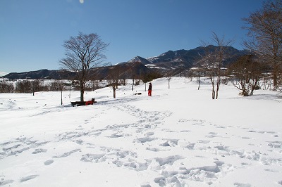 お友達と雪遊び♪と社会科見学？_a0254949_13431584.jpg