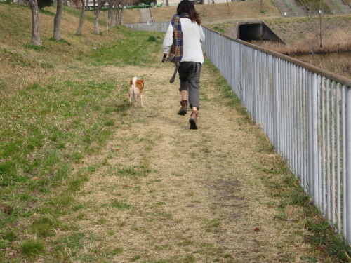 f0245650_08223427.jpg