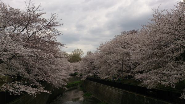 世田谷区　Ａ 様邸　　わくわく引渡し_b0096552_14561497.jpg