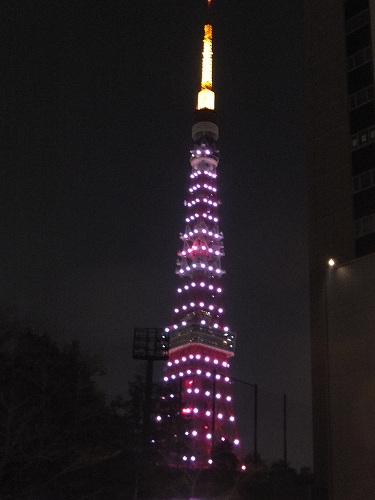 夜桜。_e0176158_0112697.jpg