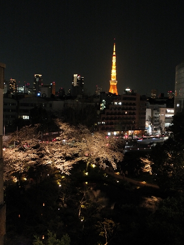 夜桜。_e0176158_061764.jpg