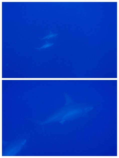 4月2日 タイミング_d0113459_20144684.jpg