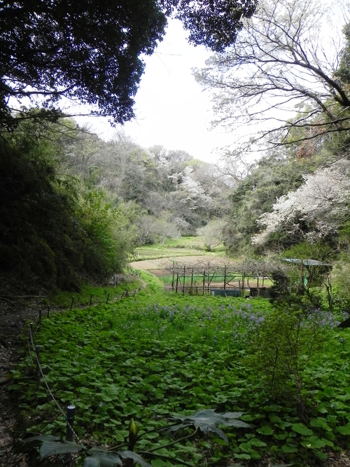 c0248467_20484123.jpg