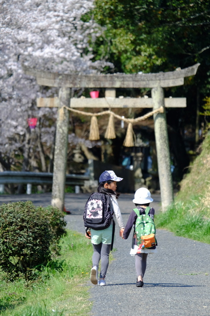 桜を見ながらお散歩_c0233569_6391715.jpg