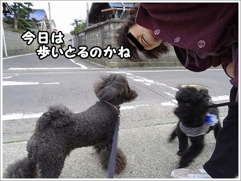 そんなに珍しい?_b0111376_12151393.jpg
