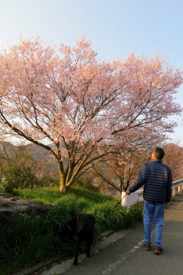 f0037378_22213596.jpg