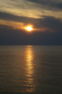 f0037378_2221503.jpg