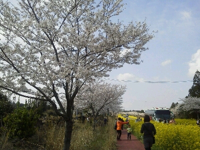 f0213778_9521343.jpg