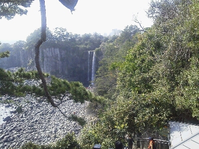 f0213778_9542152.jpg