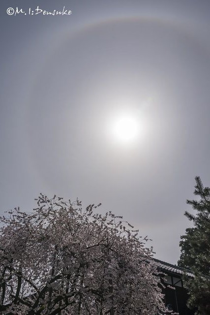 a0276584_9533510.jpg