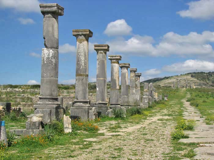 Volubilis 古代ローマの遺跡・・・続き_e0092286_15453915.jpg