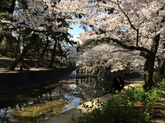 c0132387_18562.jpg