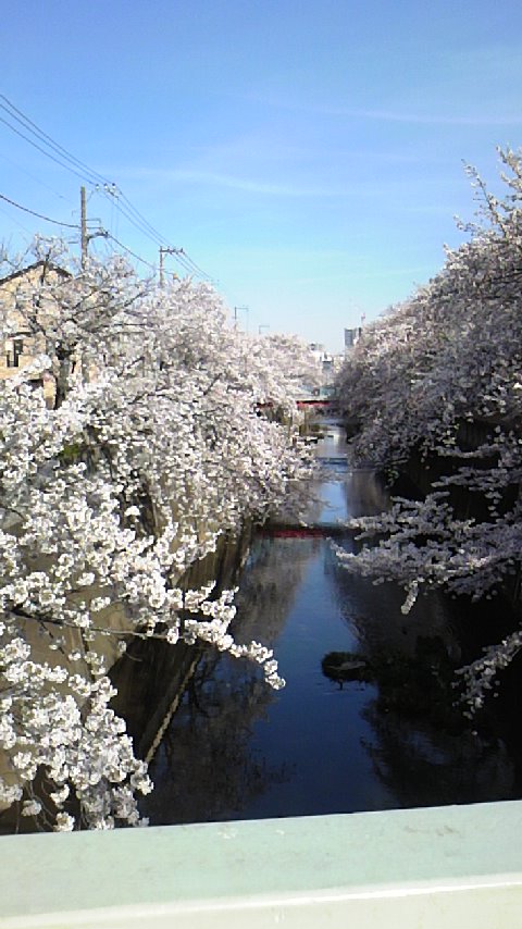 営業内容変更のお知らせ_f0222191_2351164.jpg