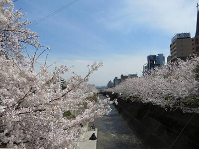 b0051598_21331469.jpg