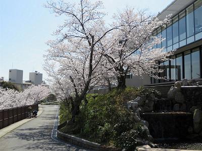 b0051598_2138447.jpg