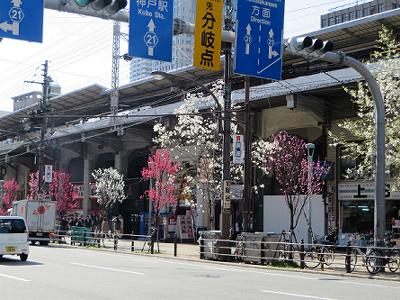 b0051598_21411914.jpg