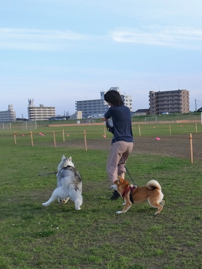 c0049299_22155513.jpg