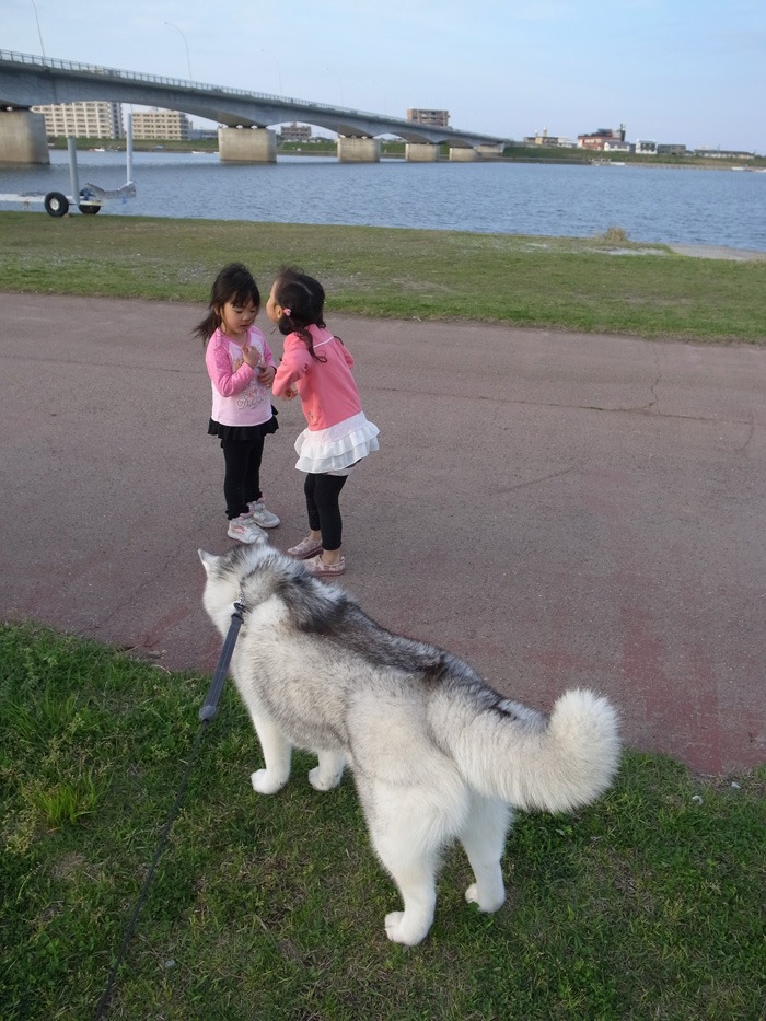 c0049299_22281817.jpg