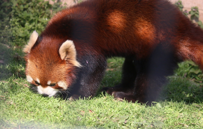 a0306502_624278.jpg