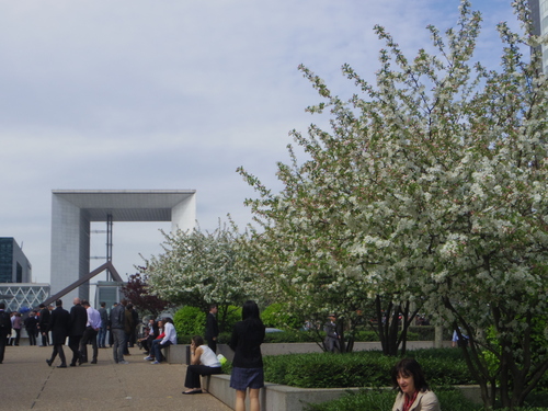 ラデファンスの花いっぱいの春_e0123104_13451373.jpg