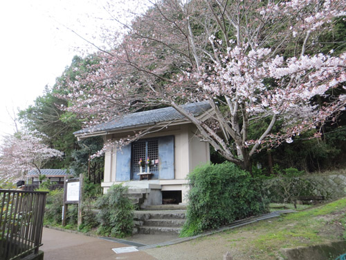 喜多美術館での個展が始まります。_b0129807_14334858.jpg