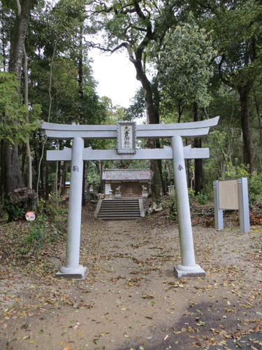 喜多美術館での個展が始まります。_b0129807_14434521.jpg