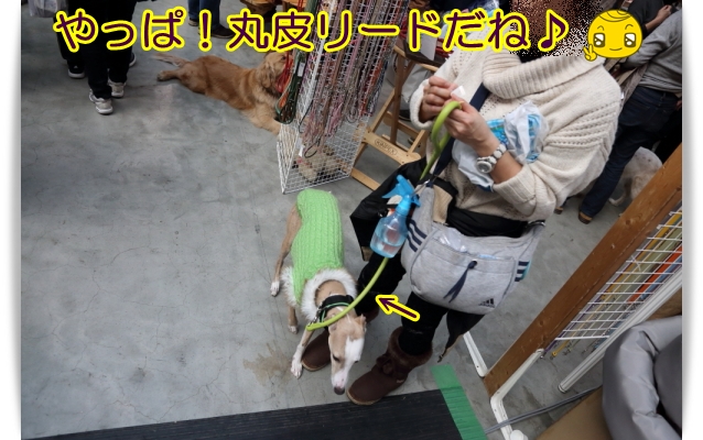 e0100007_1531565.jpg