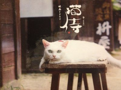 鎧と猫と童画と_e0239908_1171817.jpg