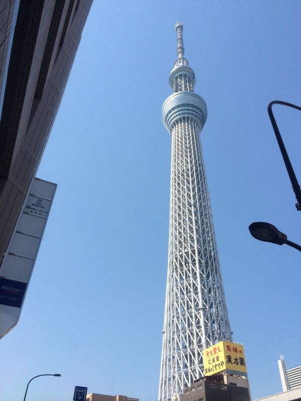 主人の両親と東京観光_a0157409_8553854.jpg