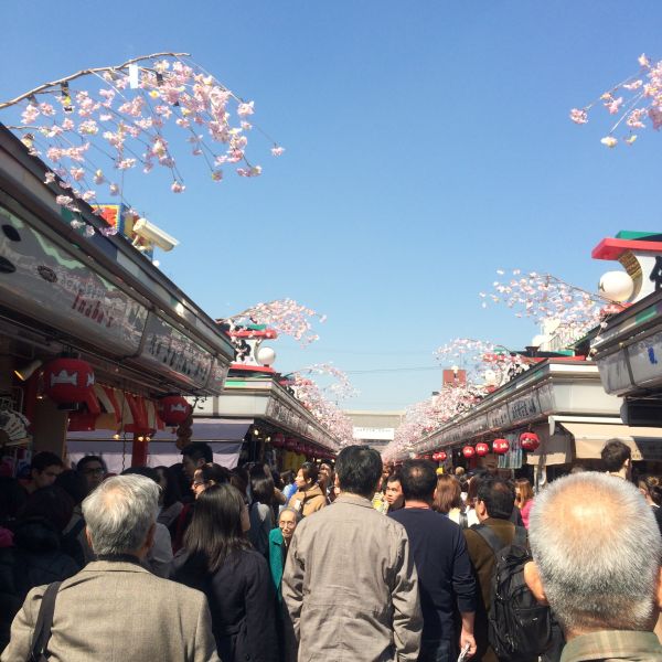 主人の両親と東京観光_a0157409_8561136.jpg