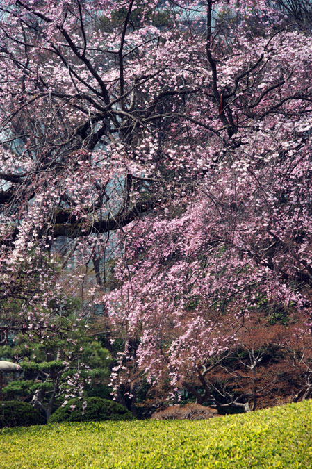 a0263109_1054451.jpg