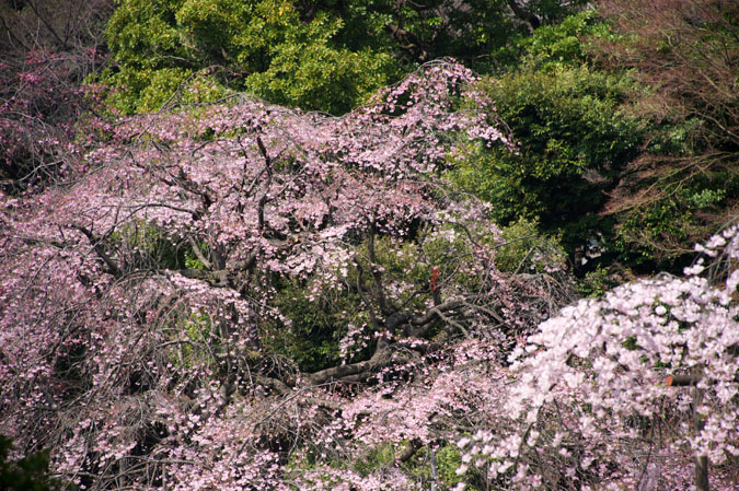 a0263109_10565052.jpg