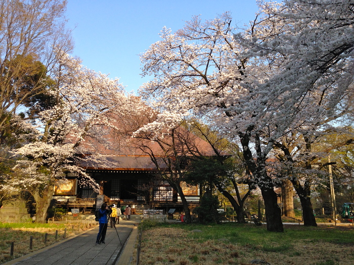 九品仏 浄真寺_c0114110_9292928.jpg