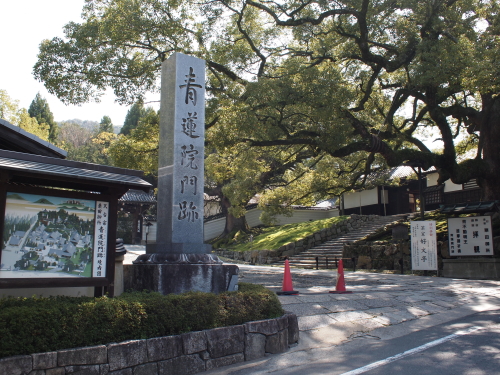 e0211912_938468.jpg