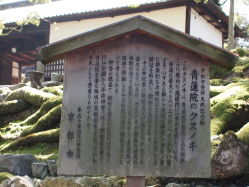 e0211912_9395015.jpg