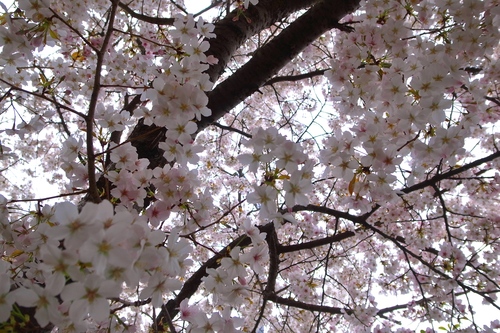 f0150413_21305269.jpg