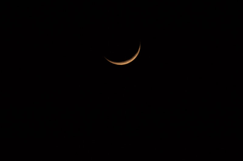 a0278914_4571588.jpg