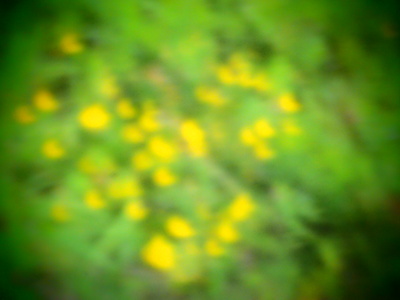 d0053616_16213376.jpg