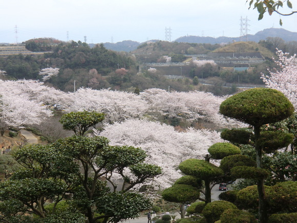 b0163121_21561140.jpg