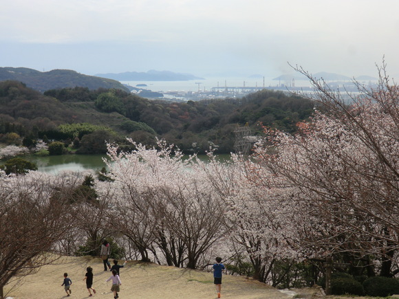 b0163121_21582560.jpg