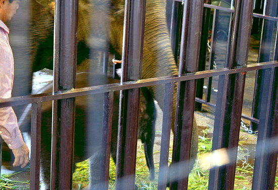 f0224624_2016417.jpg