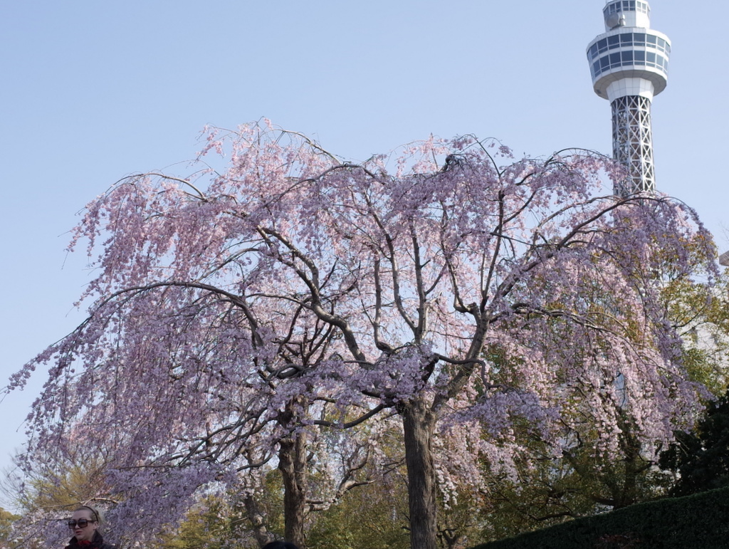 a0063128_13084398.jpg