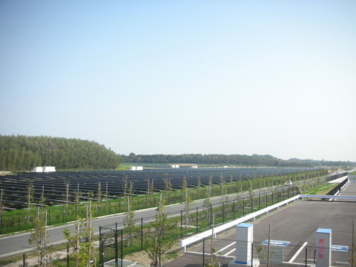c0201731_1893816.jpg