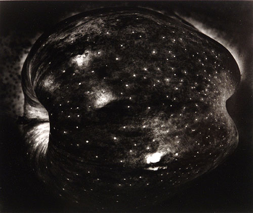 ポール・カポニグロ The Wise Silence Paul Caponigr