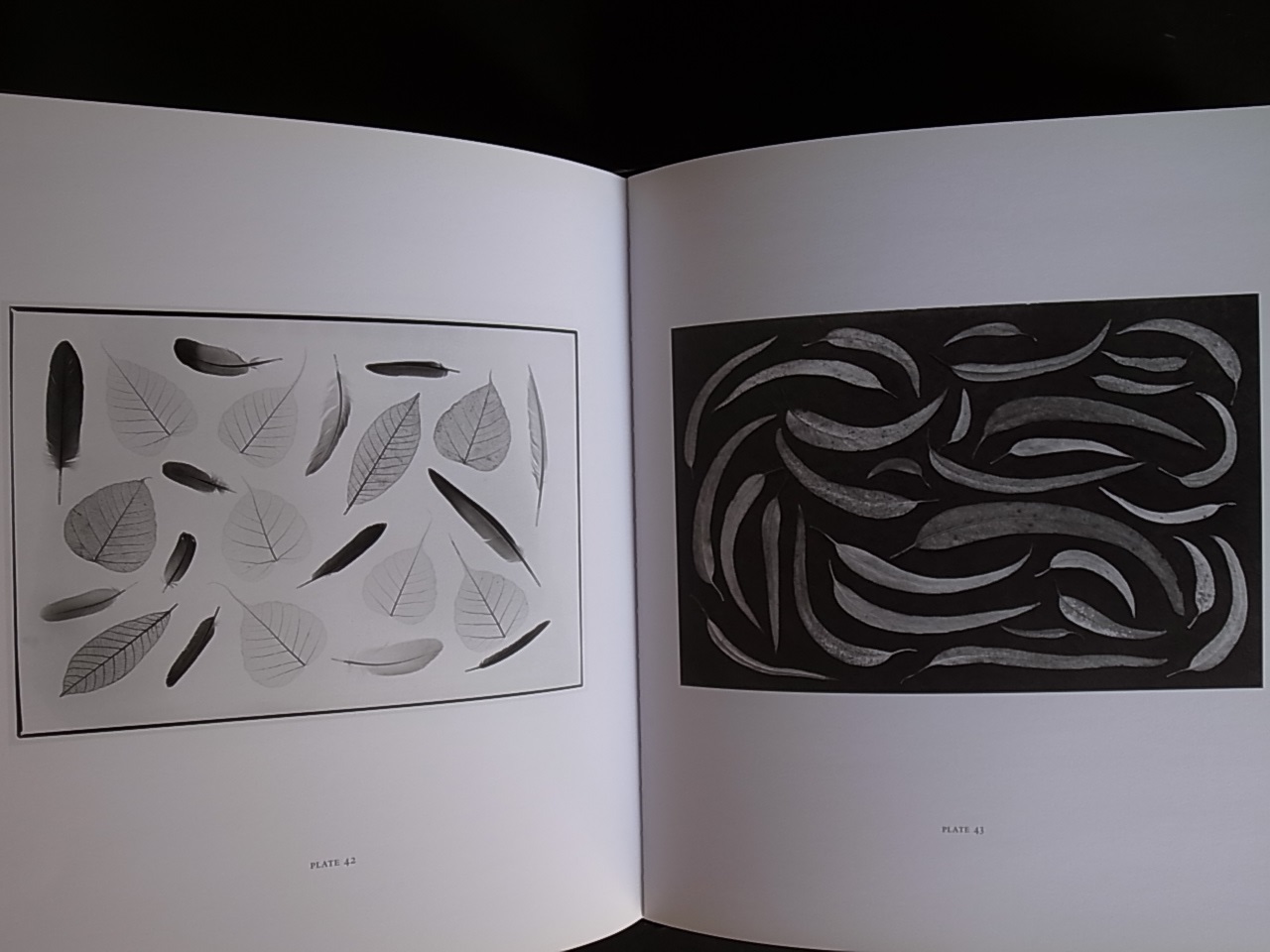 MEDITATIONS IN SILVER PHOTOGRAPHIC STUDIES BY PAUL CAPONIGRO