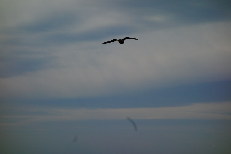 a0287336_18463342.jpg