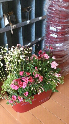 春ですね_e0086738_2331350.jpg